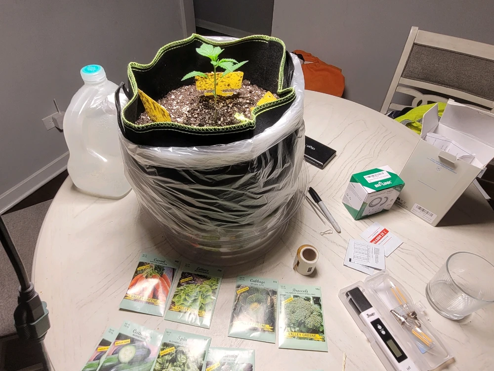 GIF diunggah dening JON Q