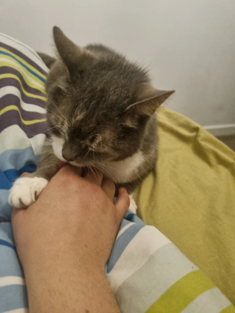 GIF uploaded by Lars