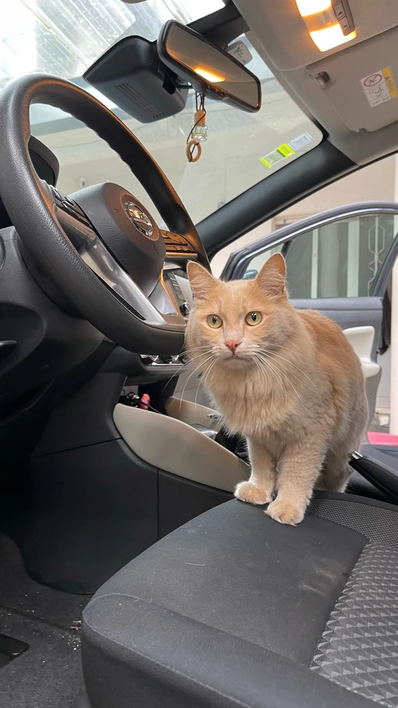 GIF enviado por Filipe