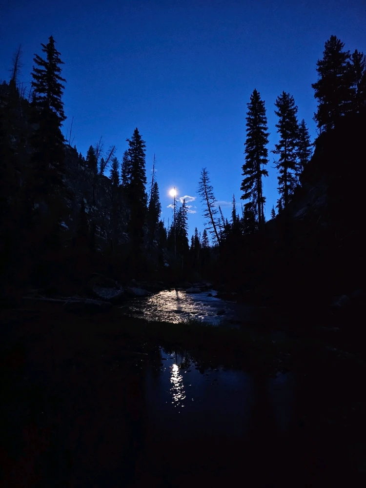 GIF uploaded by William