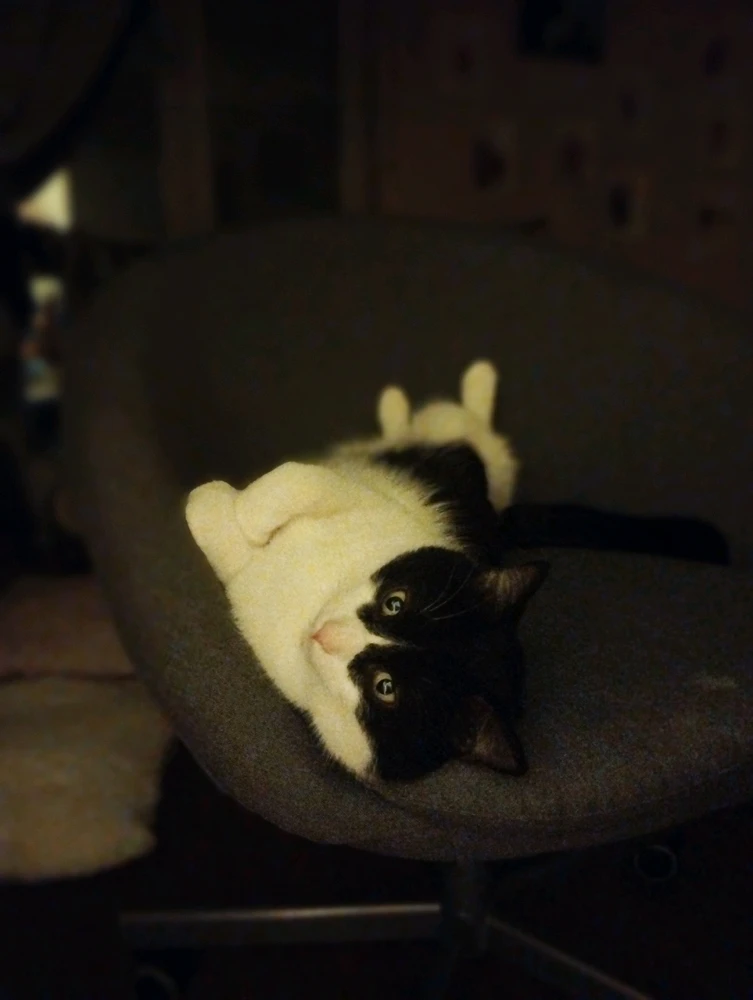 Bild hochgeladen von Sarah đŠ