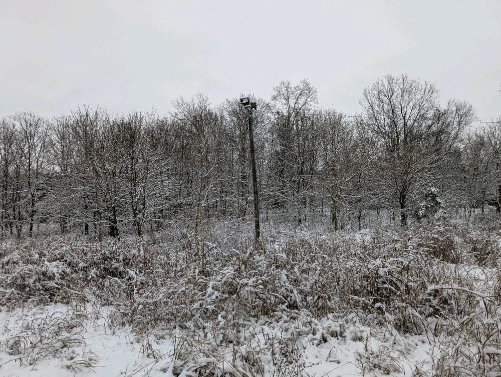 Image uploaded by Chuck