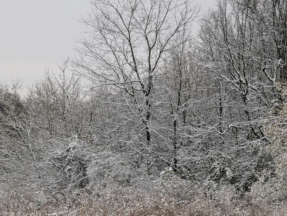 Image uploaded by Chuck