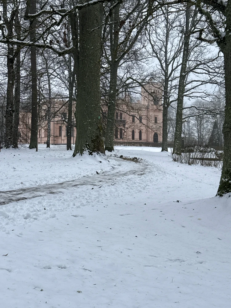 Image uploaded by Edgar