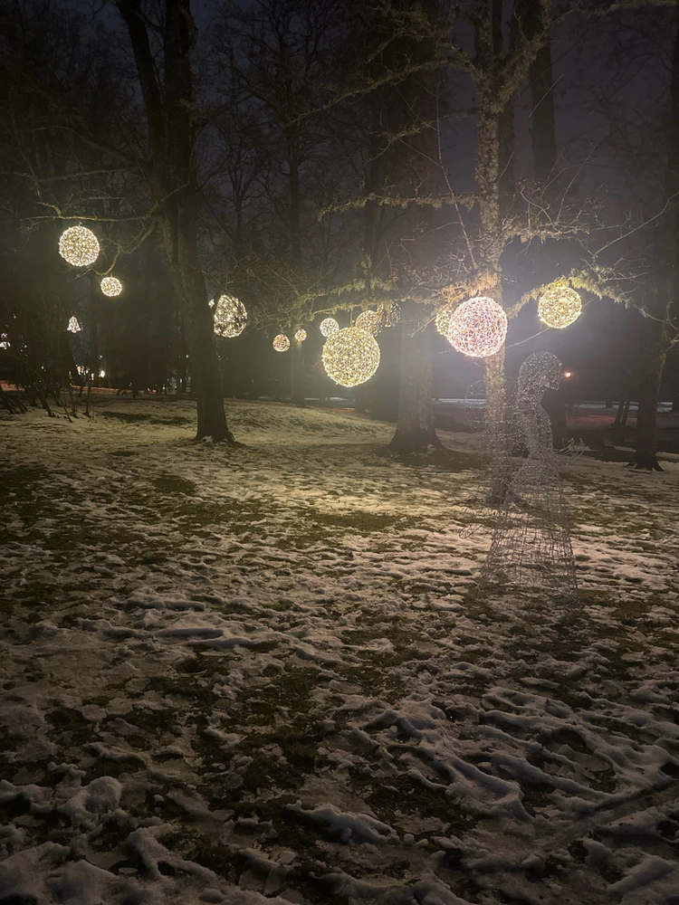 Image uploaded by Edgar