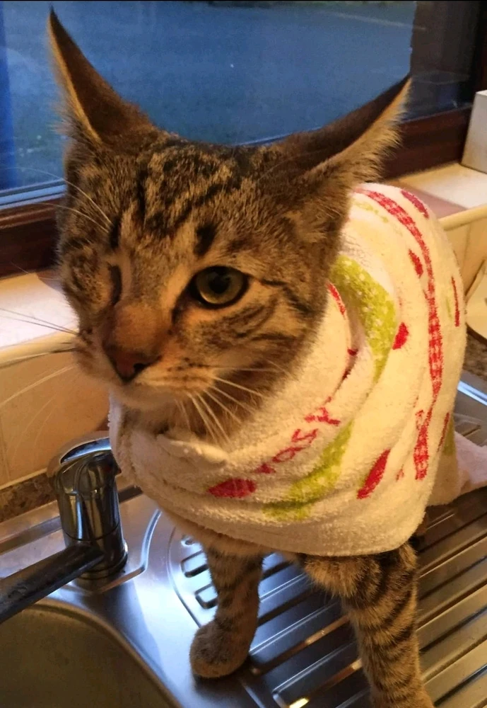 Image uploaded by Jamie Wallace