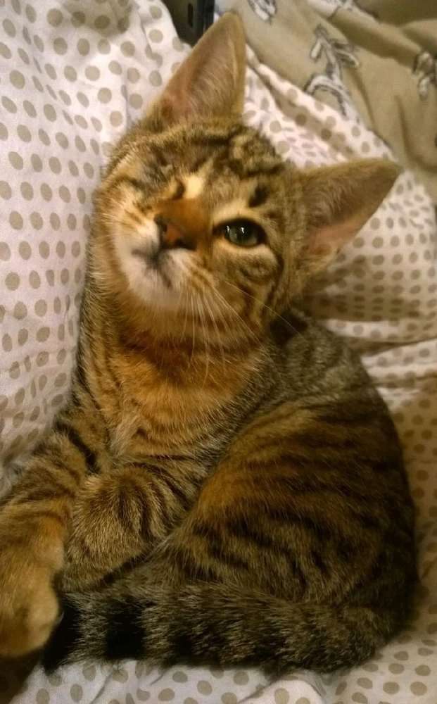 Image uploaded by Jamie Wallace