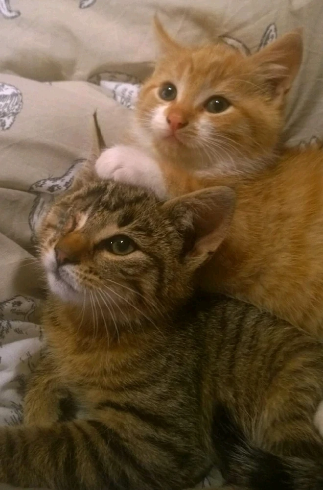 Image uploaded by Jamie Wallace