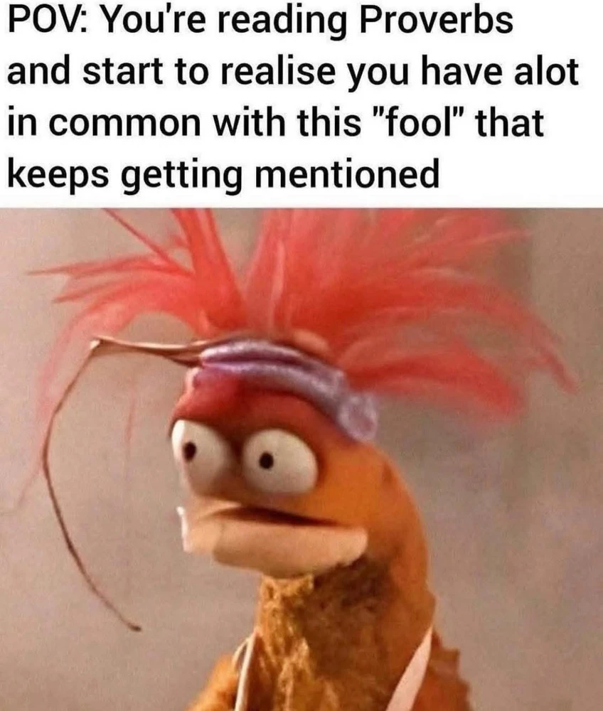 Image uploaded by Conroyd