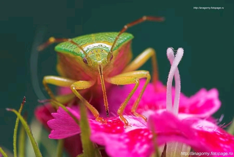 GIF uploaded by Alex