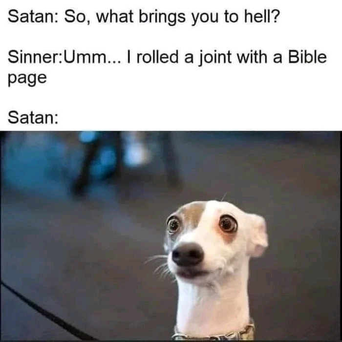 GIF uploaded by MandoRez