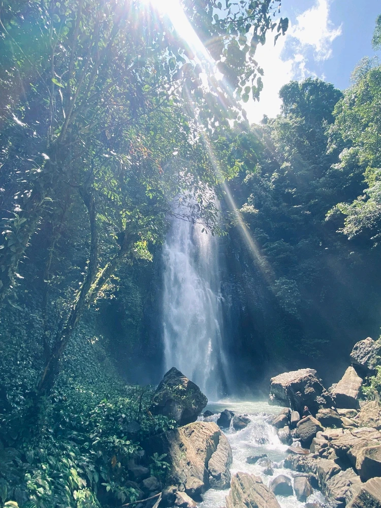 GIF uploaded by Gabby