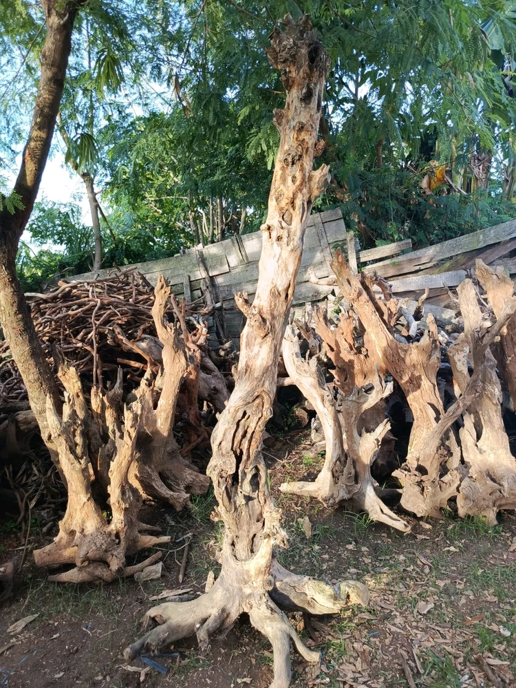 GIF diunggah oleh Jimbon