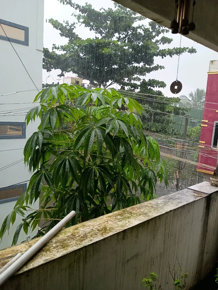 GIF uploaded by Prabhu