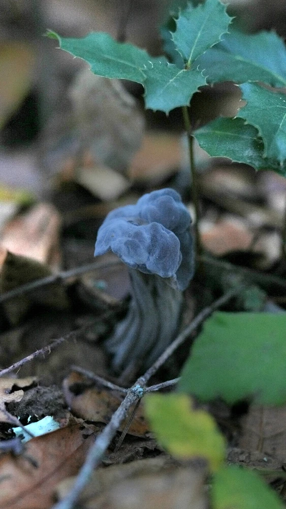 GIF uploaded by David