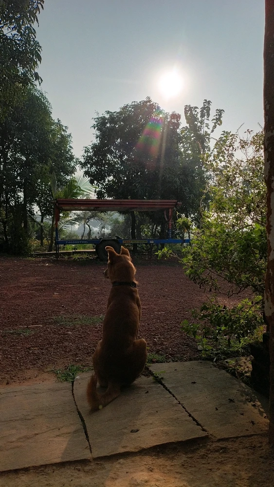 Duab xa los ntawm Kunal Pratap Singh