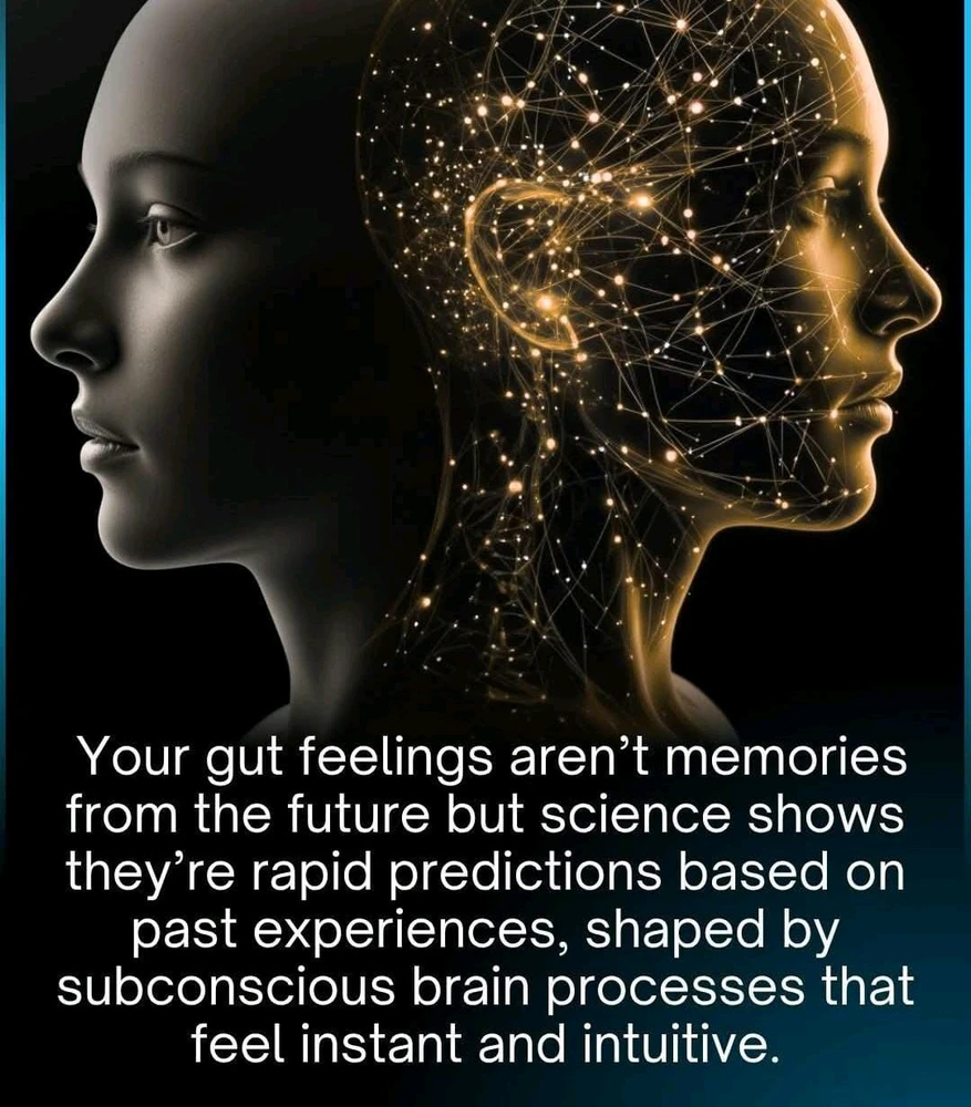 GIF uploaded by Beverlyn