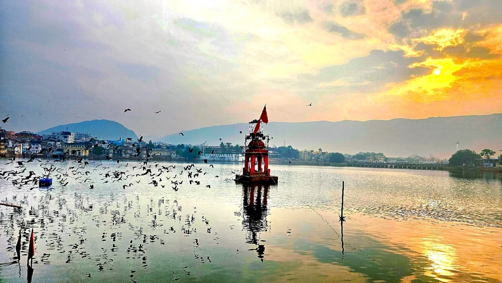 Image uploaded by Bunny