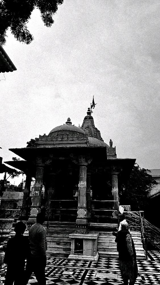 Image uploaded by Bunny