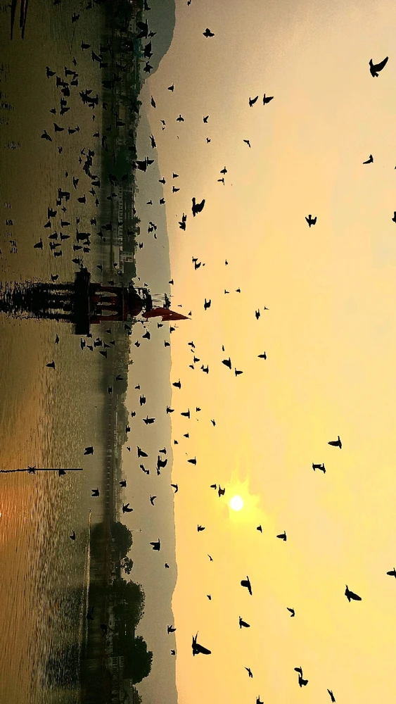 Image uploaded by Bunny