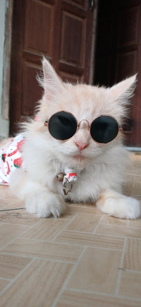 Image uploaded by Tiara