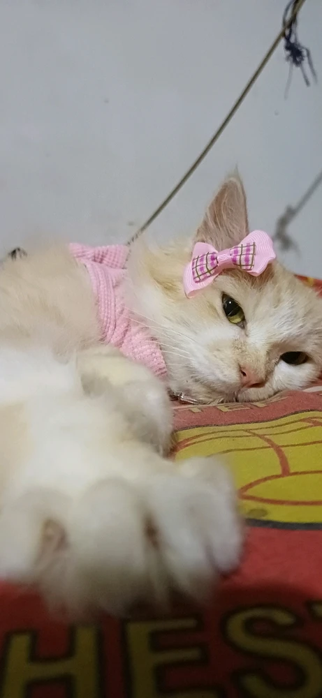 Image uploaded by Tiara