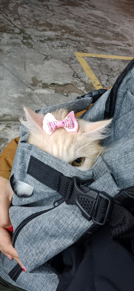 Image uploaded by Tiara