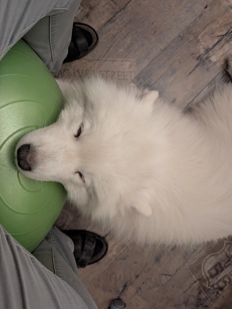 Zdjęcie dodane przez Kuba