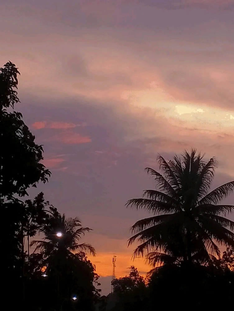 Image uploaded by 💜J💜o💜e💜y💜