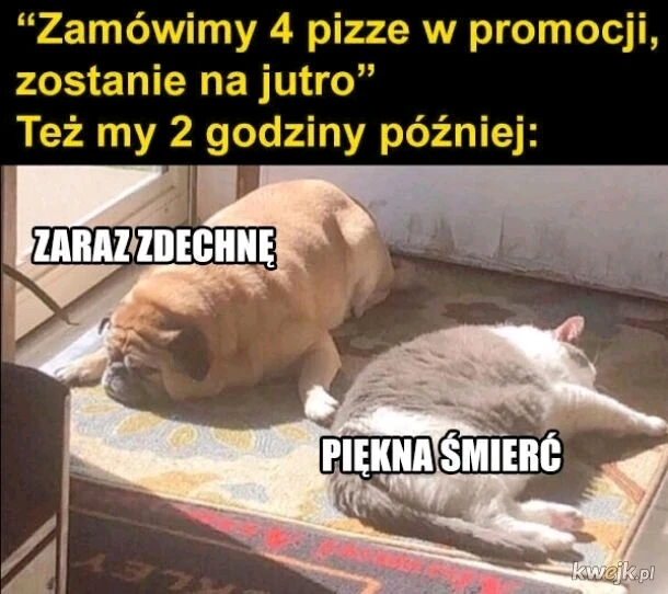 GIF dodany przez Umberto