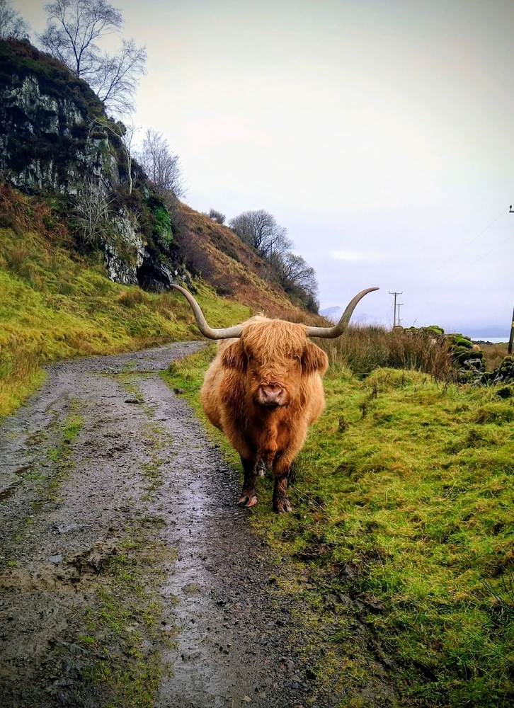 GIF uploaded by Colin