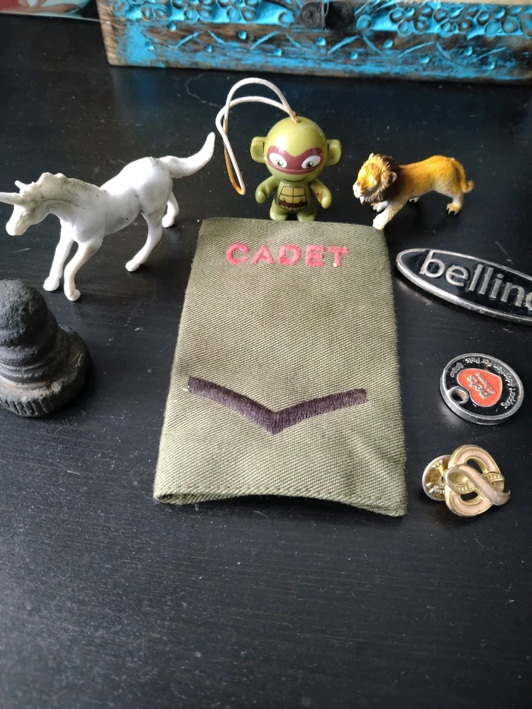 Image uploaded by Colin