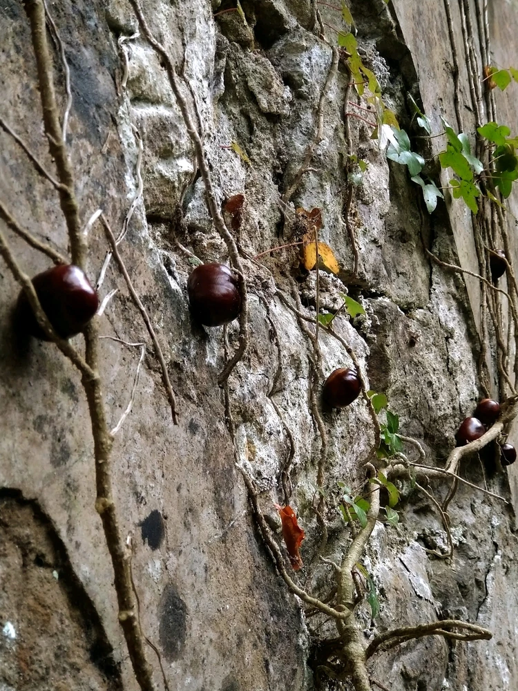 Image uploaded by Colin