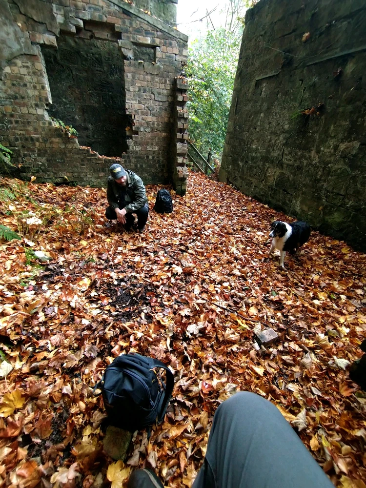 Image uploaded by Colin