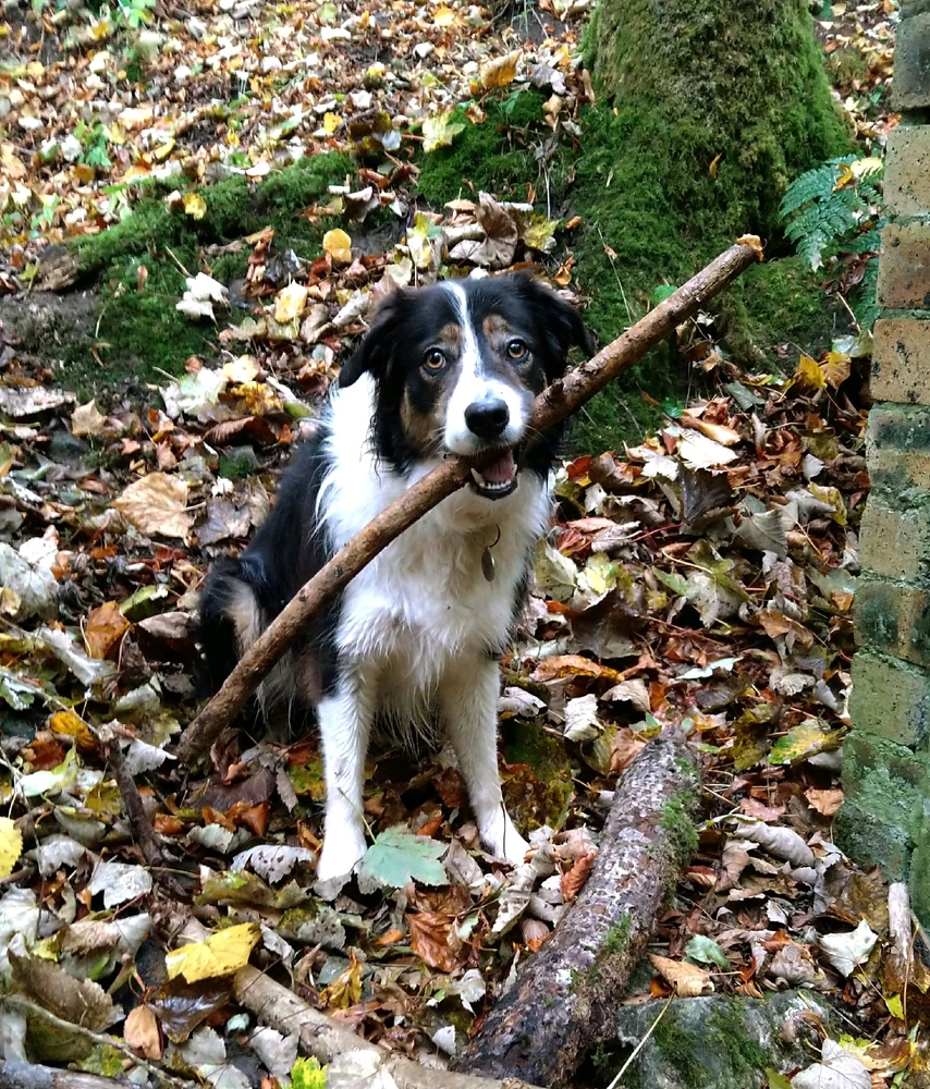 Image uploaded by Colin