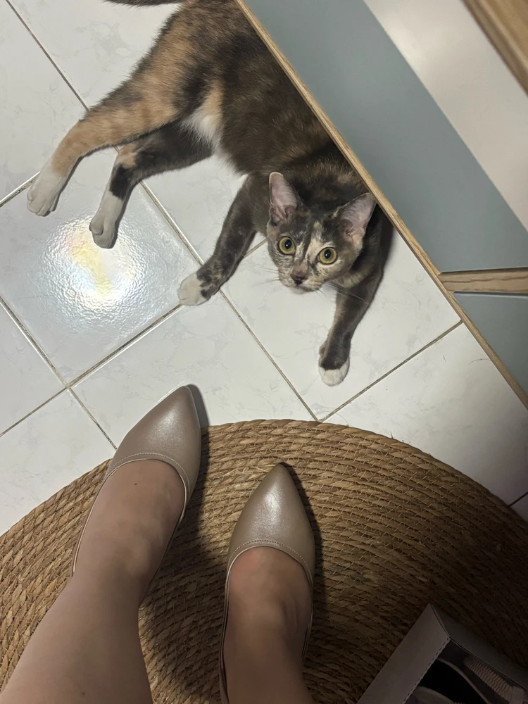 GIF diunggah dening Pat♡