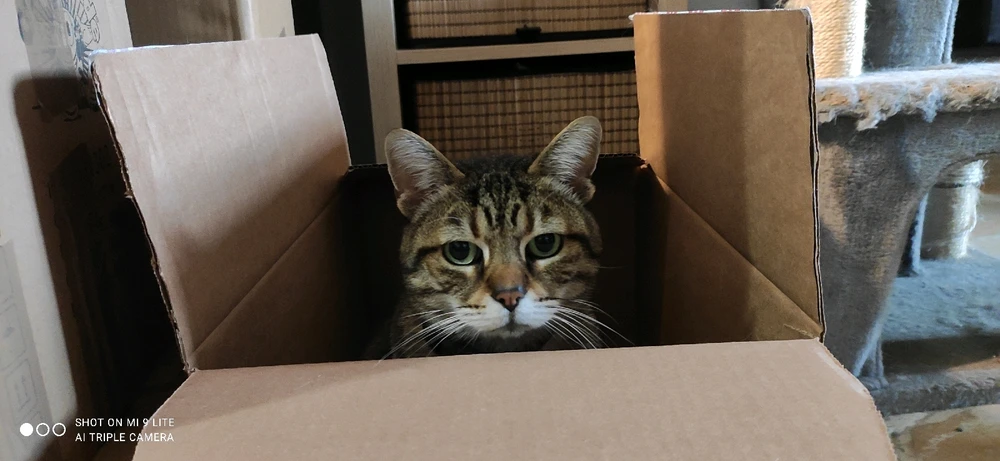 GIF caricata da Jgor