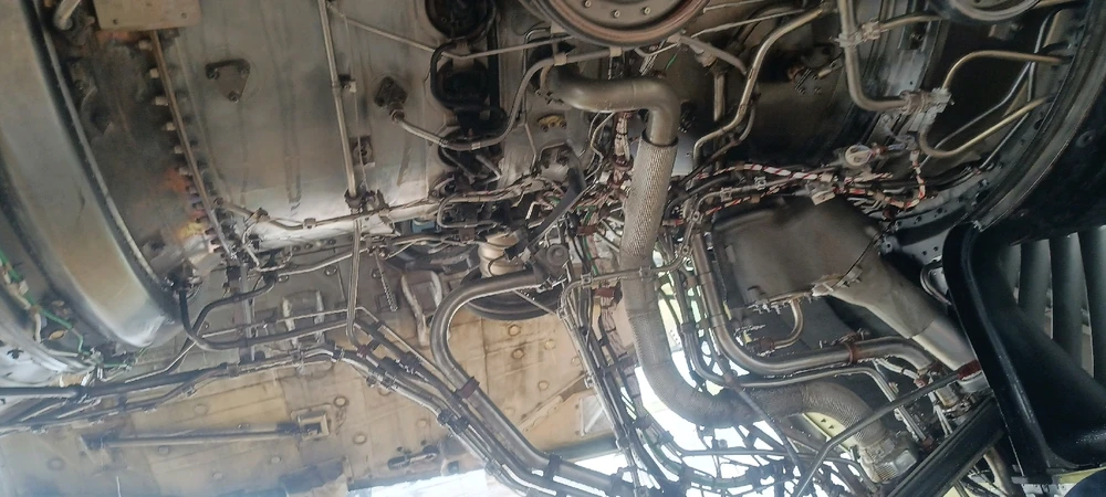 Imagem enviada por Diego