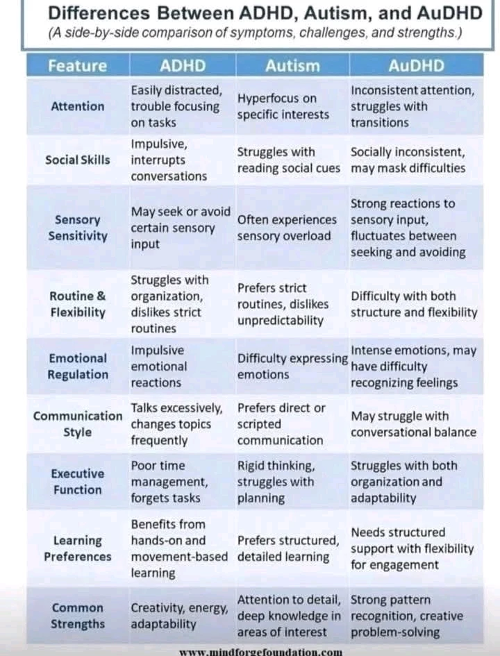 GIF uploaded by Neil