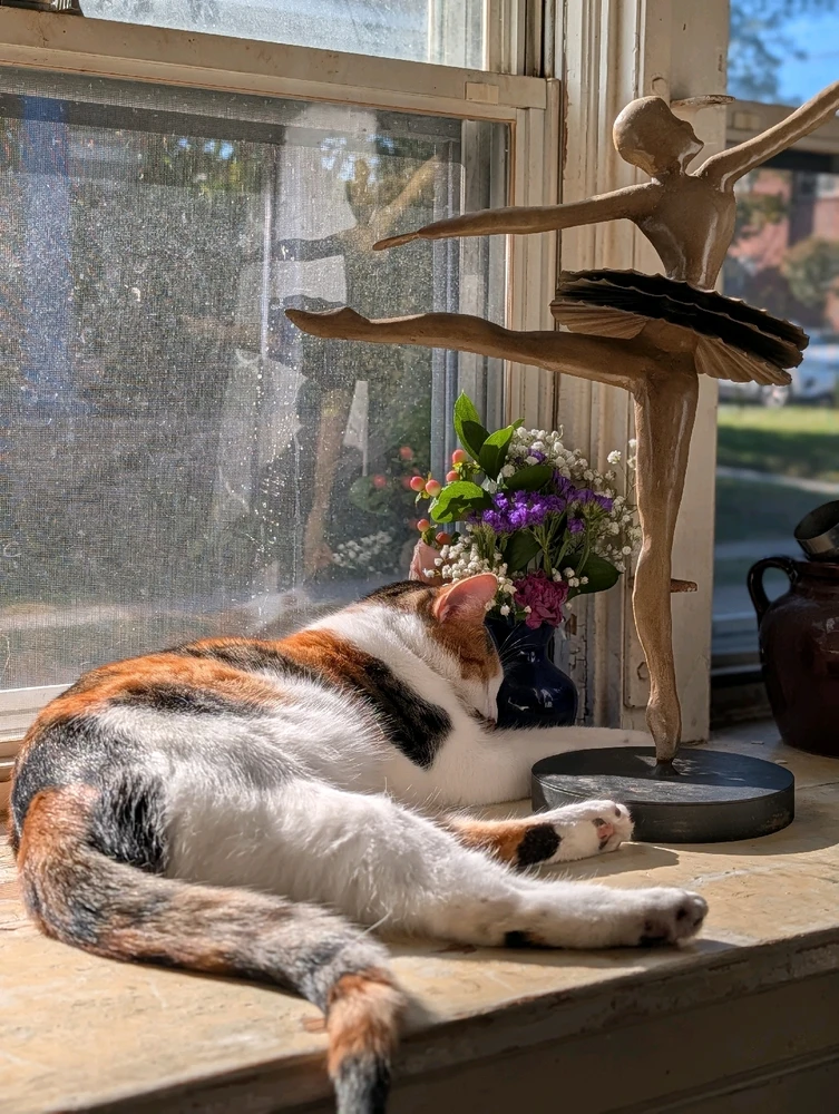 GIF uploaded by Antonio