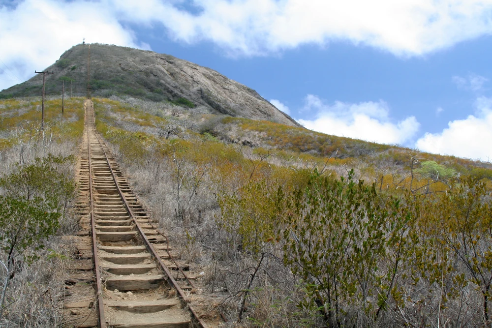 Image uploaded by Steven