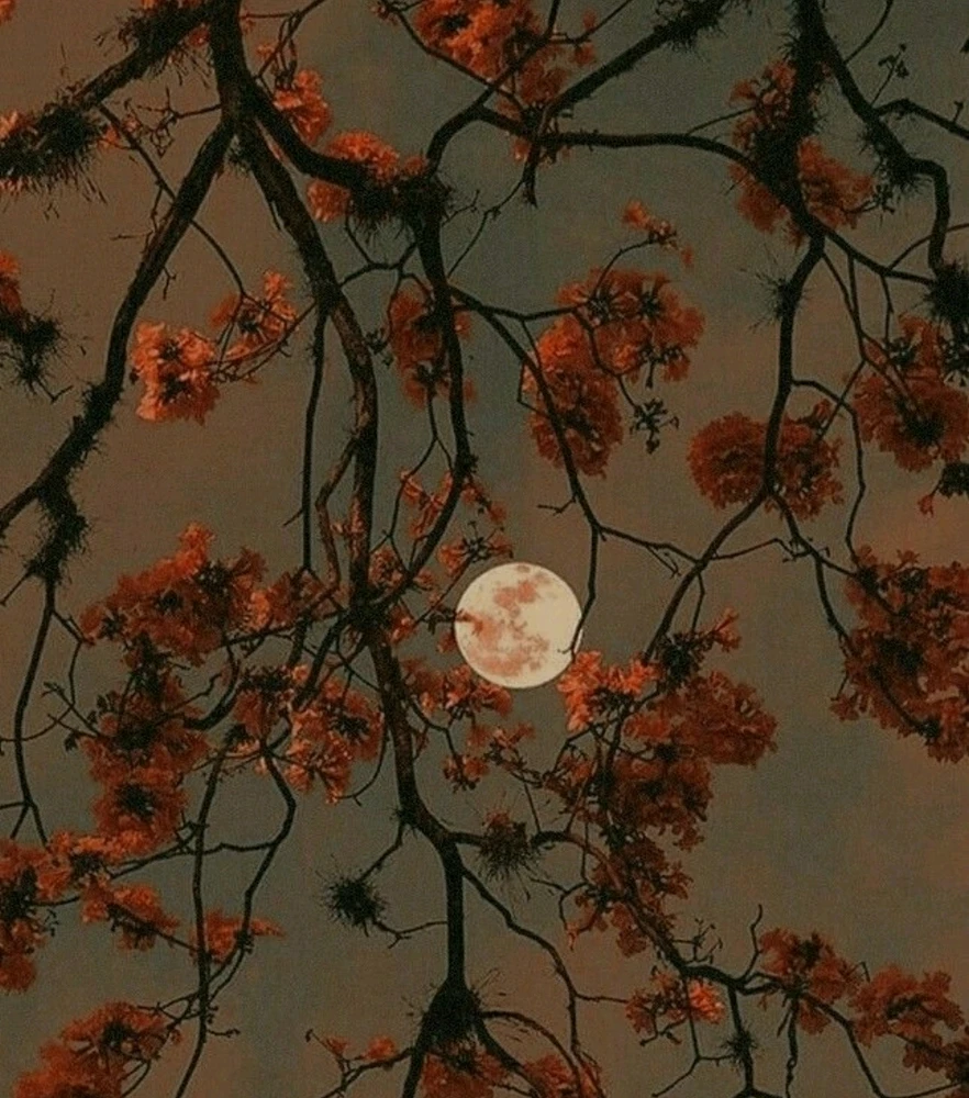 GIF ajouté par Saffiya