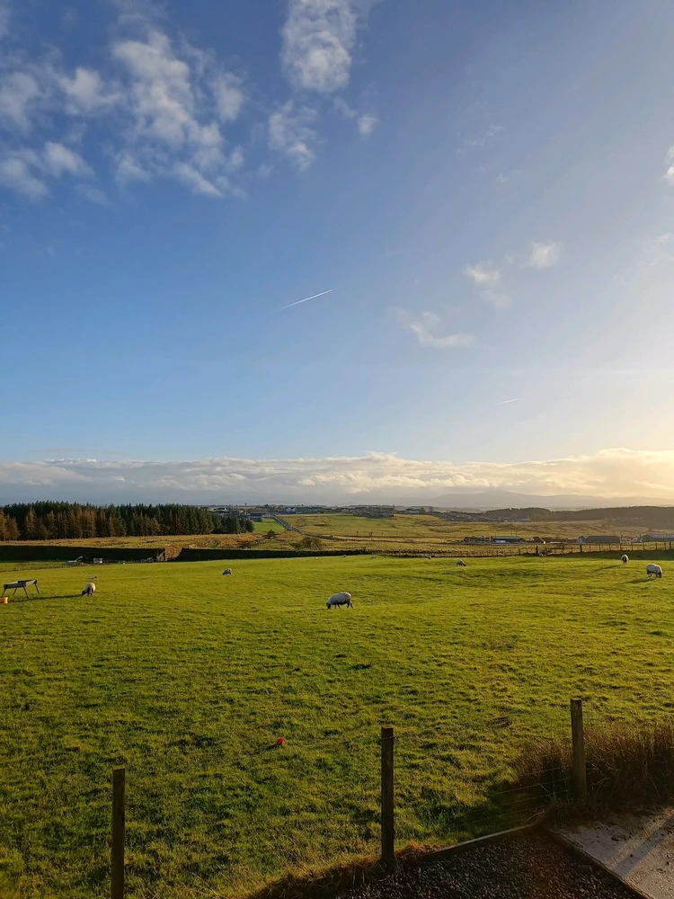 GIF subido por Pablo