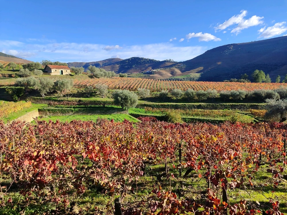 GIF diunggah dening Maru