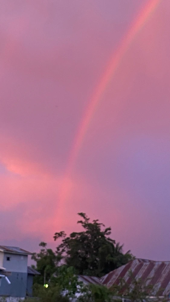 Image uploaded by Amanda