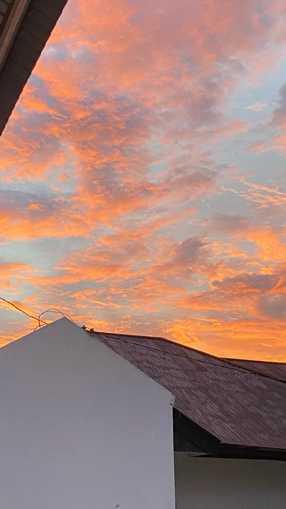 Image uploaded by Amanda