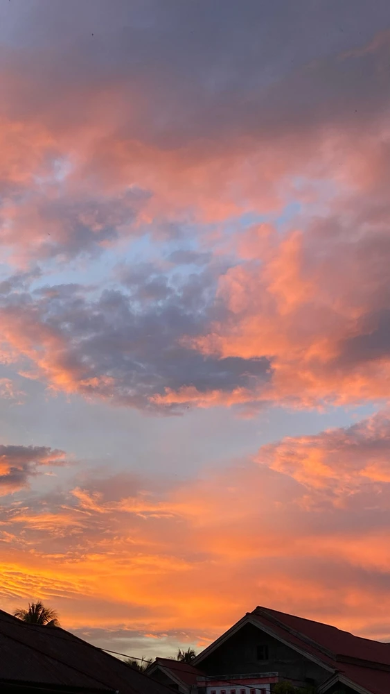 Image uploaded by Amanda