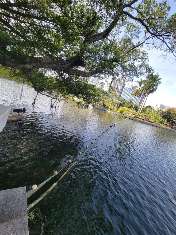 Image uploaded by lan