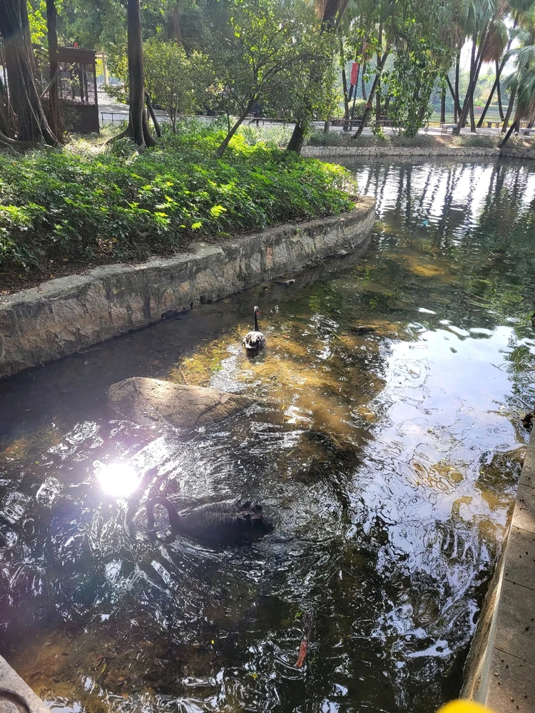 Image uploaded by lan
