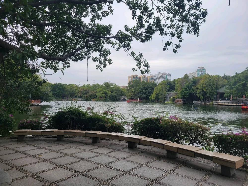Image uploaded by lan